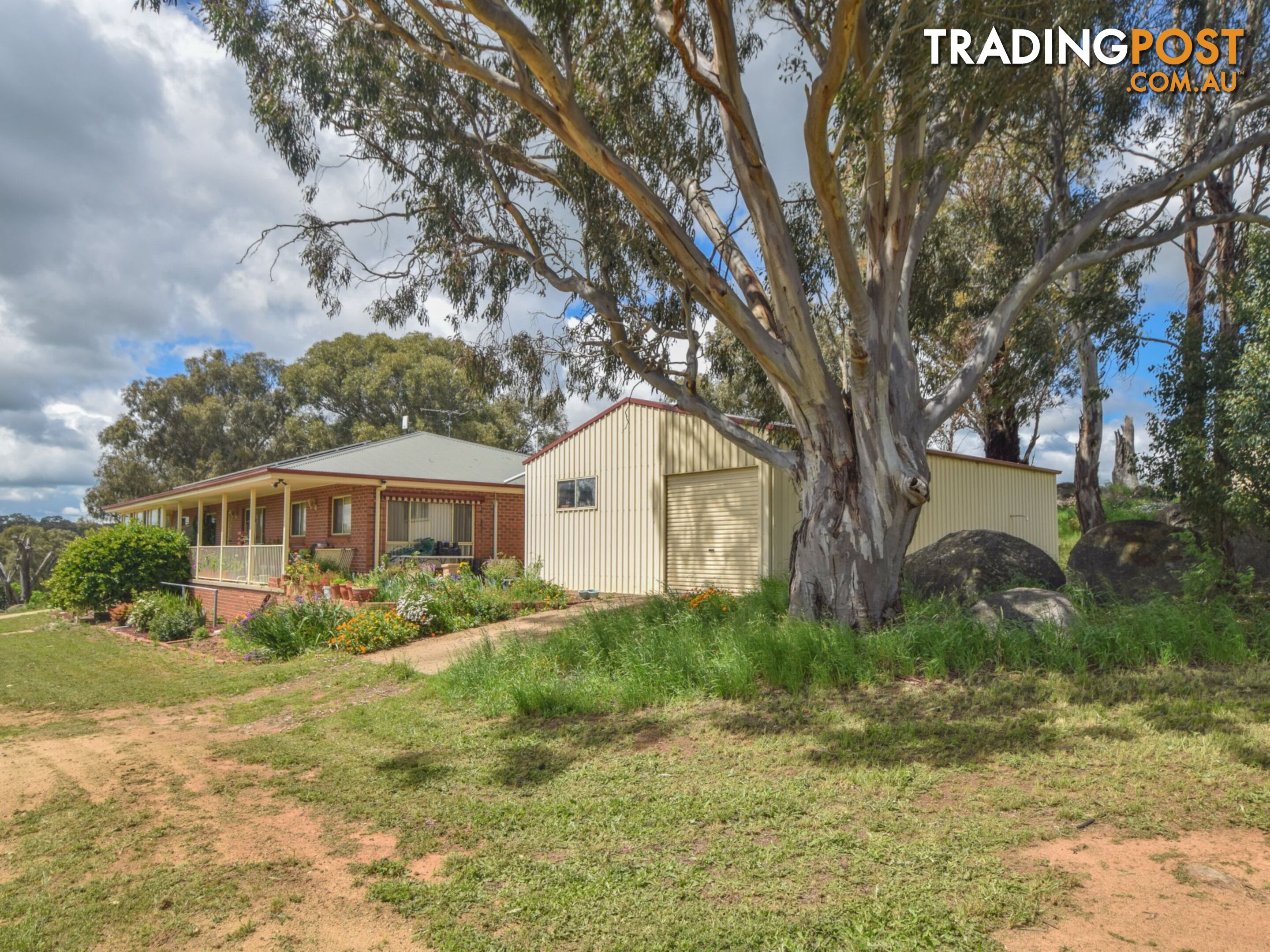 39 Malvicinos Road YOUNG NSW 2594