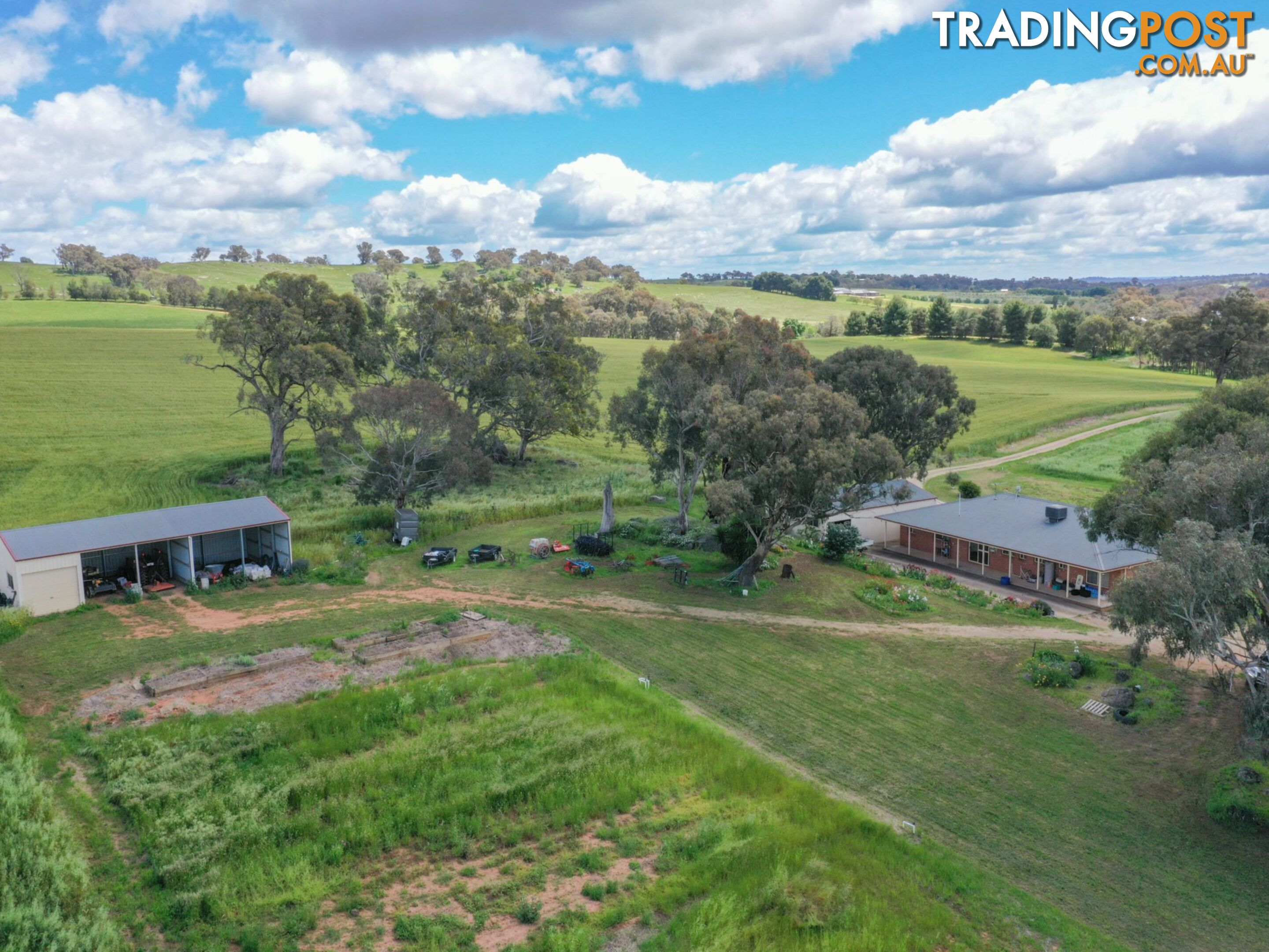 39 Malvicinos Road YOUNG NSW 2594