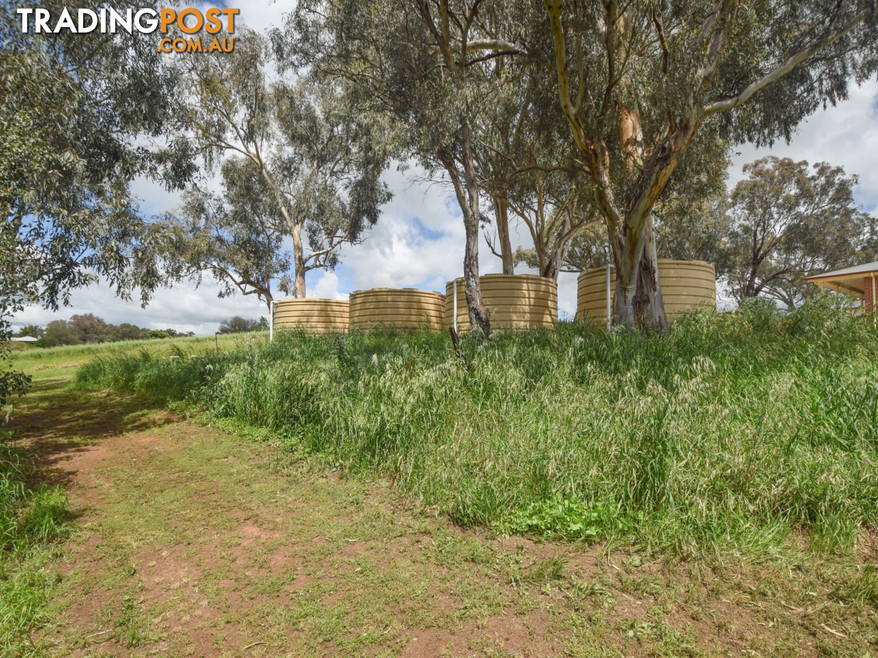39 Malvicinos Road YOUNG NSW 2594
