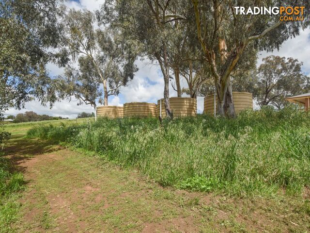 39 Malvicinos Road YOUNG NSW 2594