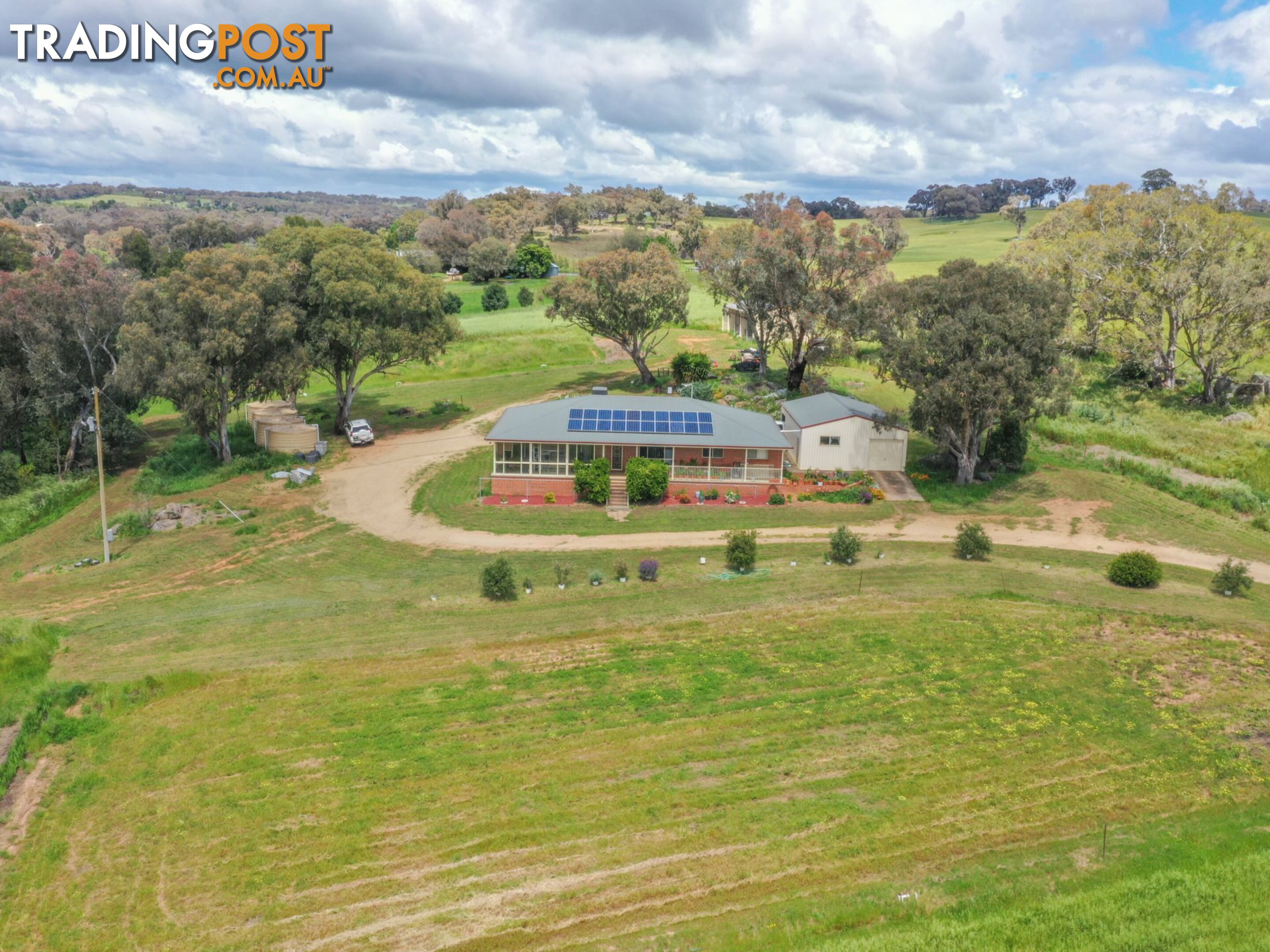 39 Malvicinos Road YOUNG NSW 2594