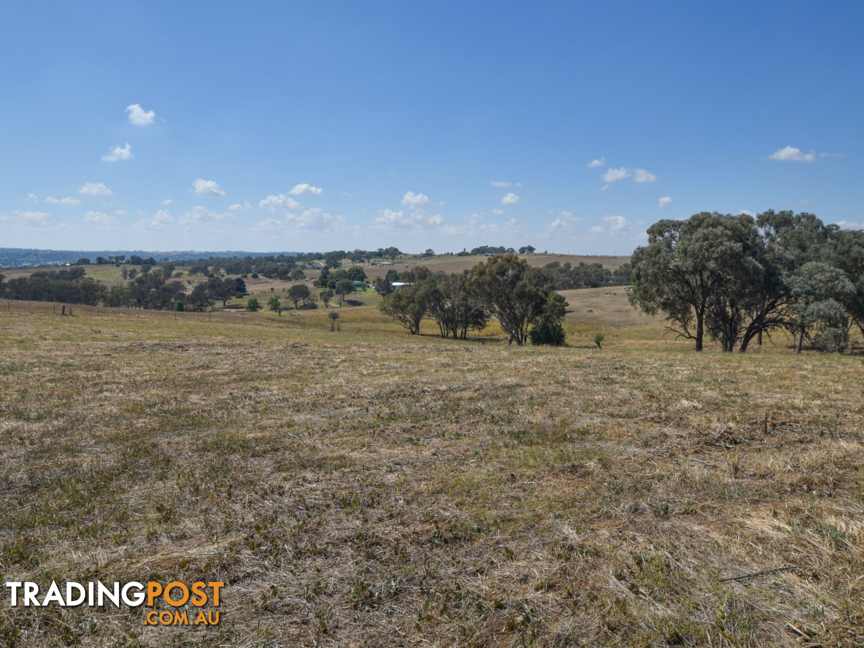 35 Kilmanock Rd YOUNG NSW 2594