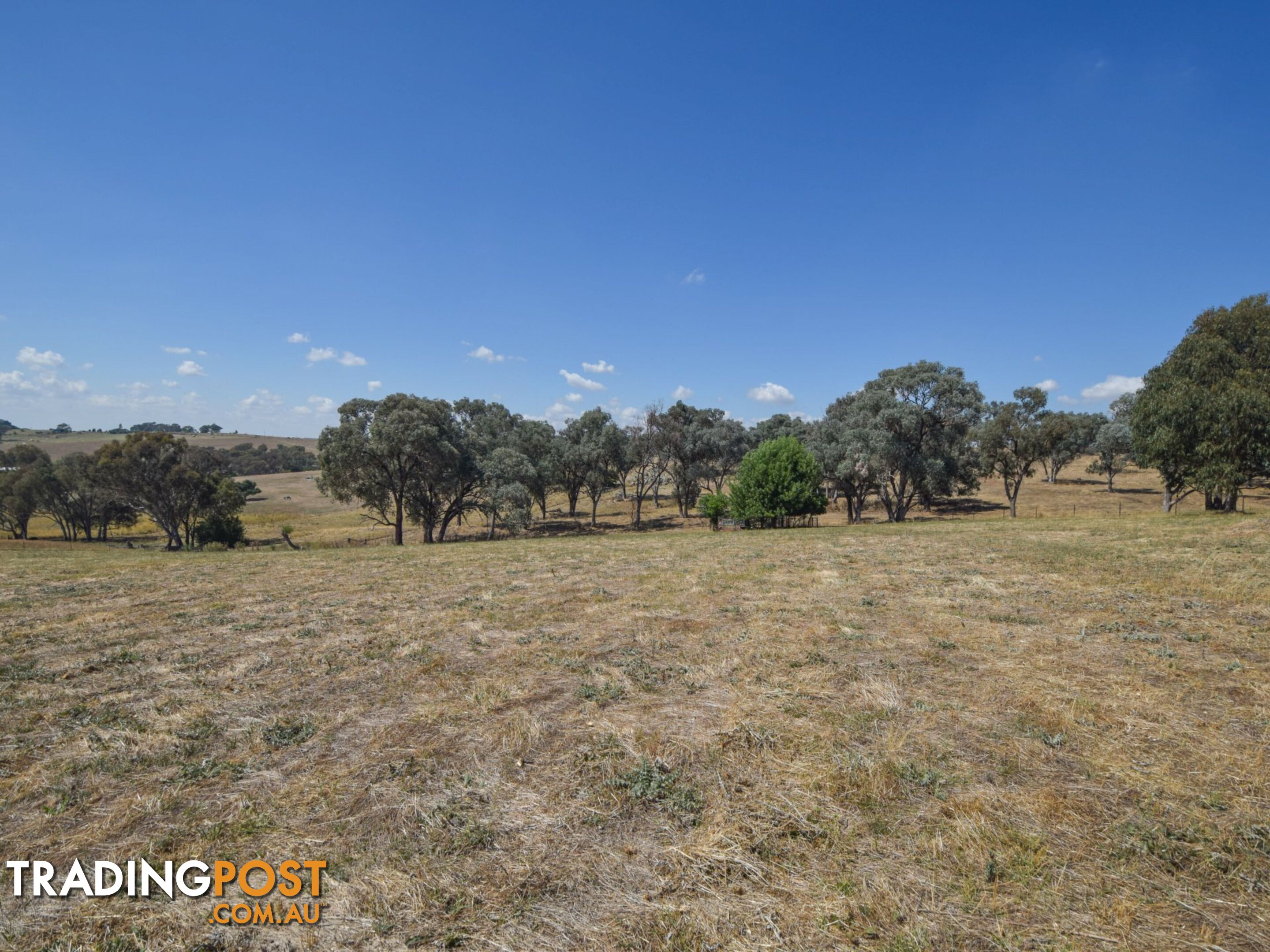 35 Kilmanock Rd YOUNG NSW 2594