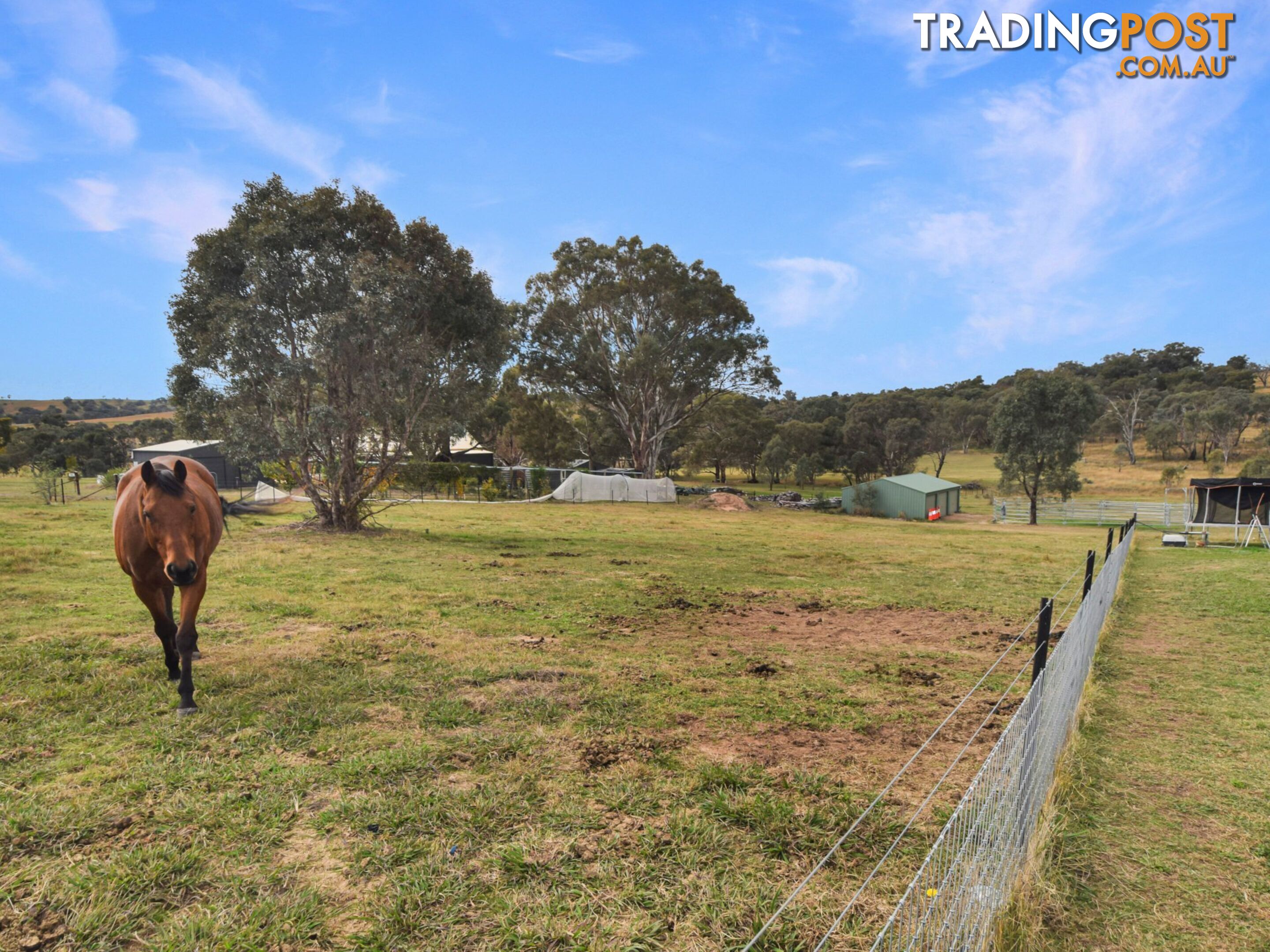 76 Dowling Drive, Murringo via YOUNG NSW 2594