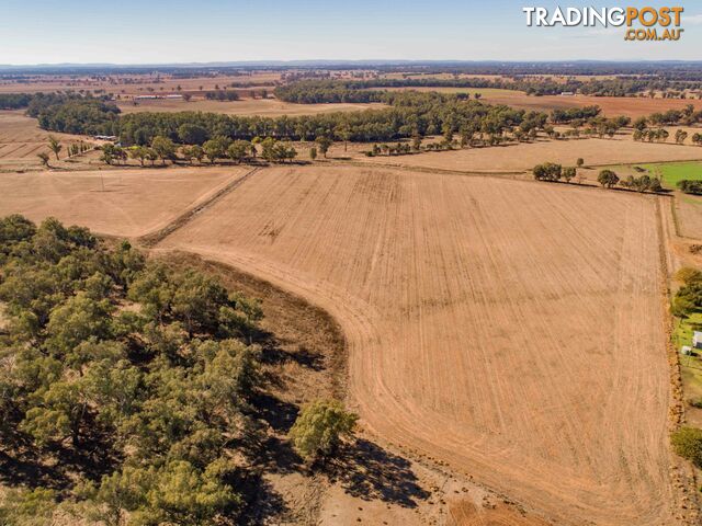 4194 Lachlan Valley Way FORBES NSW 2871