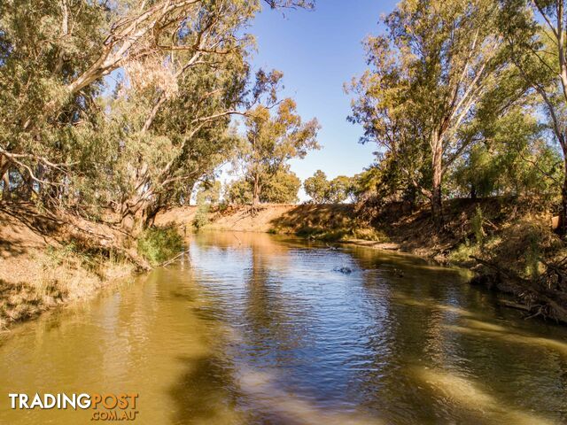 4194 Lachlan Valley Way FORBES NSW 2871