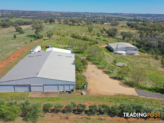 285 Henry Lawson Way YOUNG NSW 2594