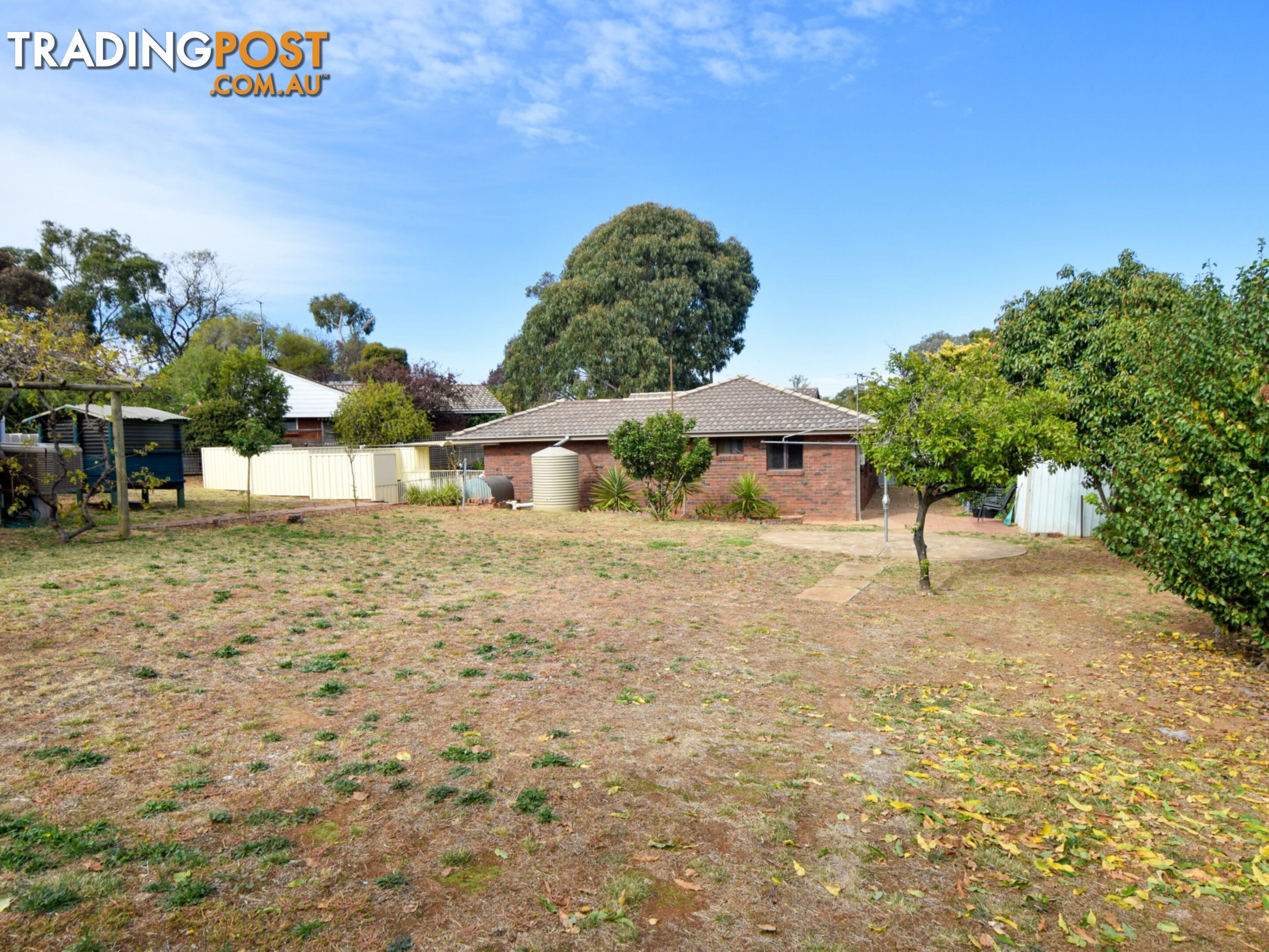 16 Watson Street YOUNG NSW 2594