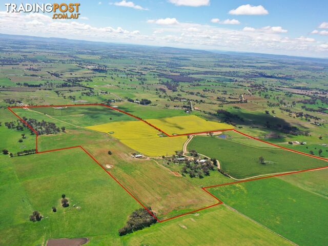 433 Maimuru SS Road Via YOUNG NSW 2594