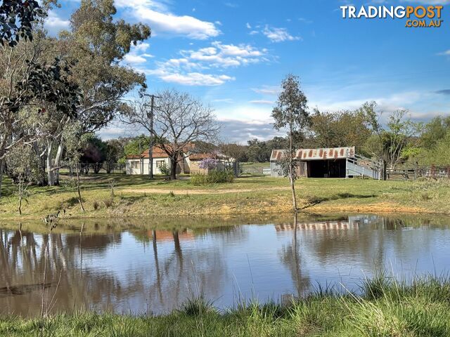 3 Pestells Lane YOUNG NSW 2594