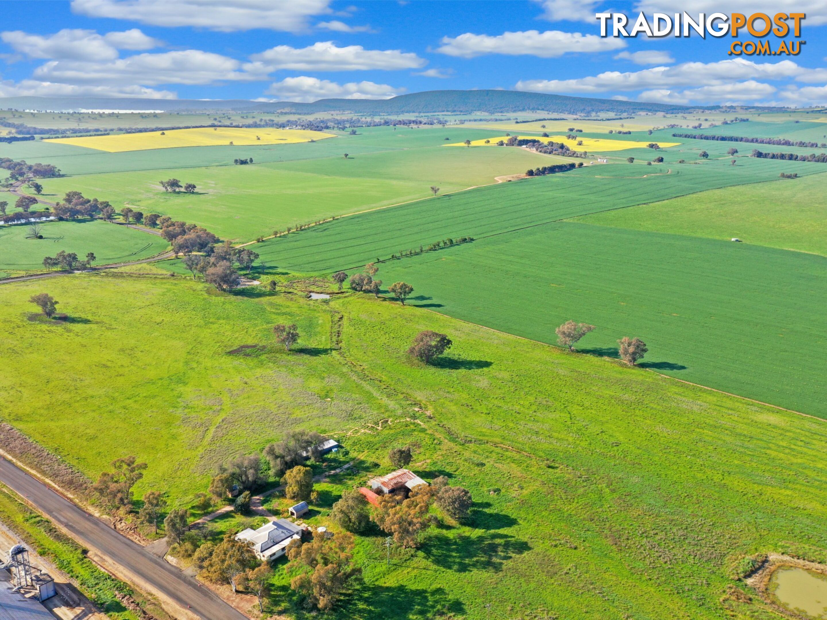 40 Koorawatha Road GREENETHORPE NSW 2809