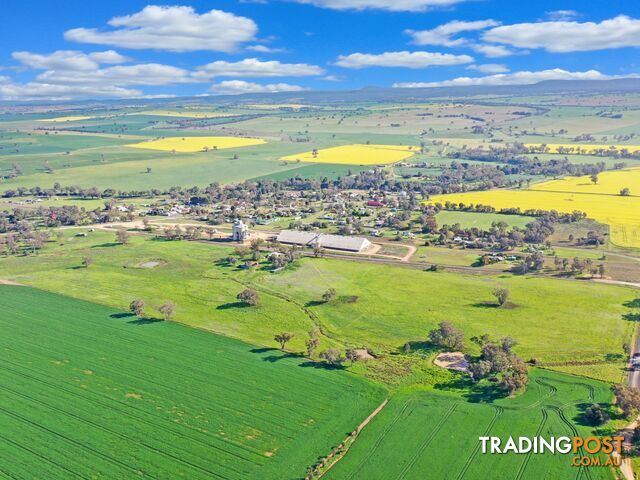 40 Koorawatha Road GREENETHORPE NSW 2809