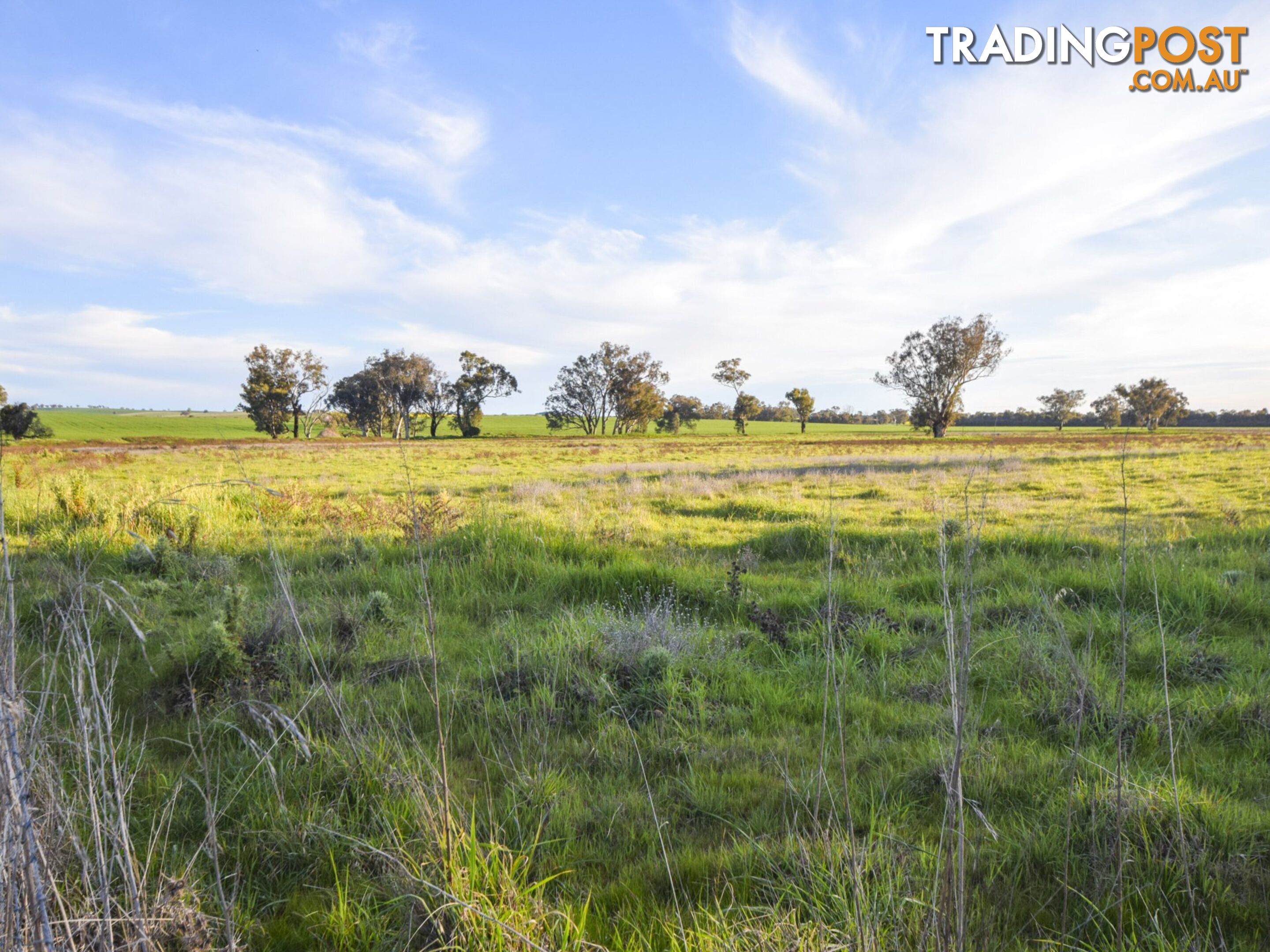 40 Koorawatha Road GREENETHORPE NSW 2809