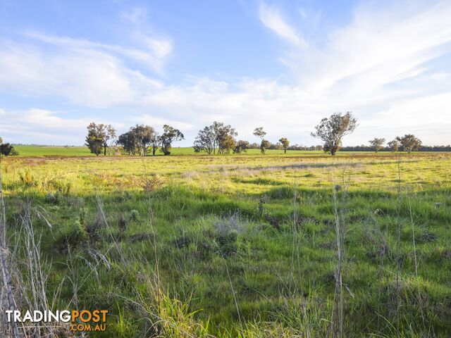 40 Koorawatha Road GREENETHORPE NSW 2809