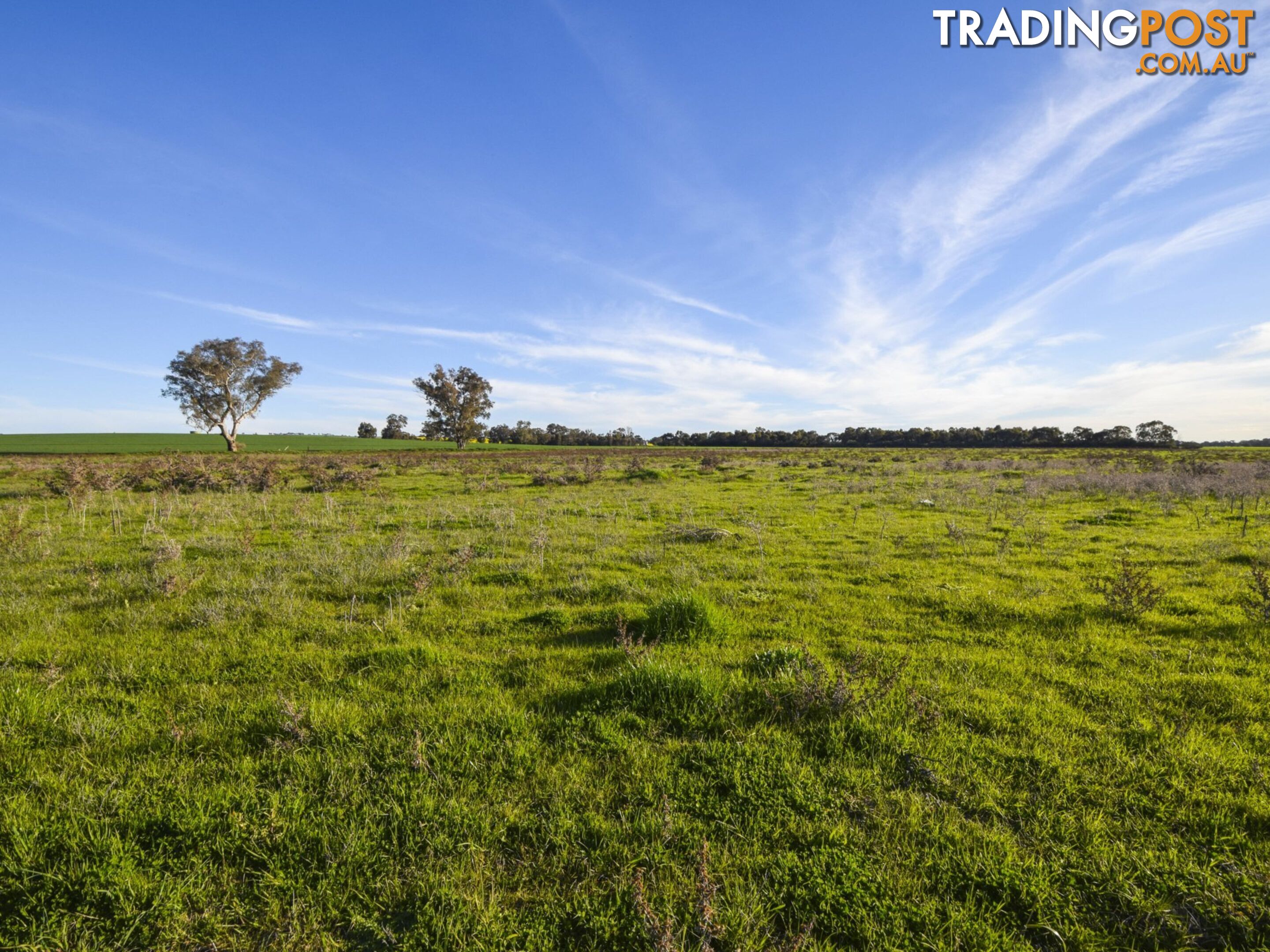 40 Koorawatha Road GREENETHORPE NSW 2809