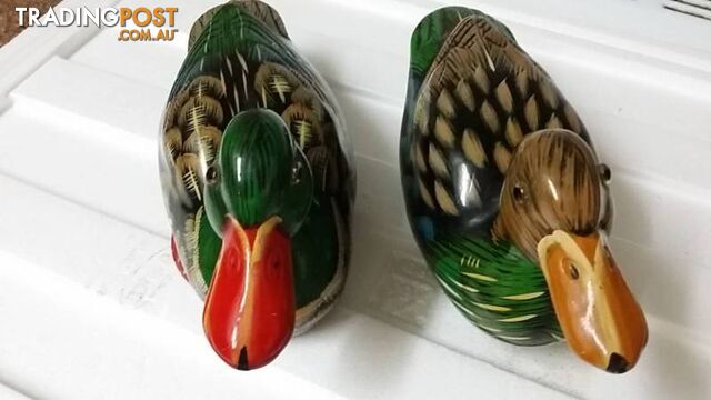 a pair of ducks