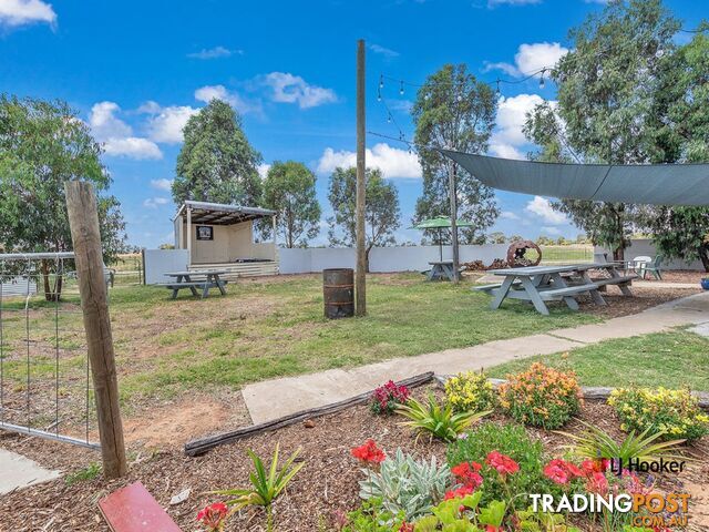 Falcon Hot 7784 Murray Valley H'way, Kanyapella ECHUCA VIC 3564