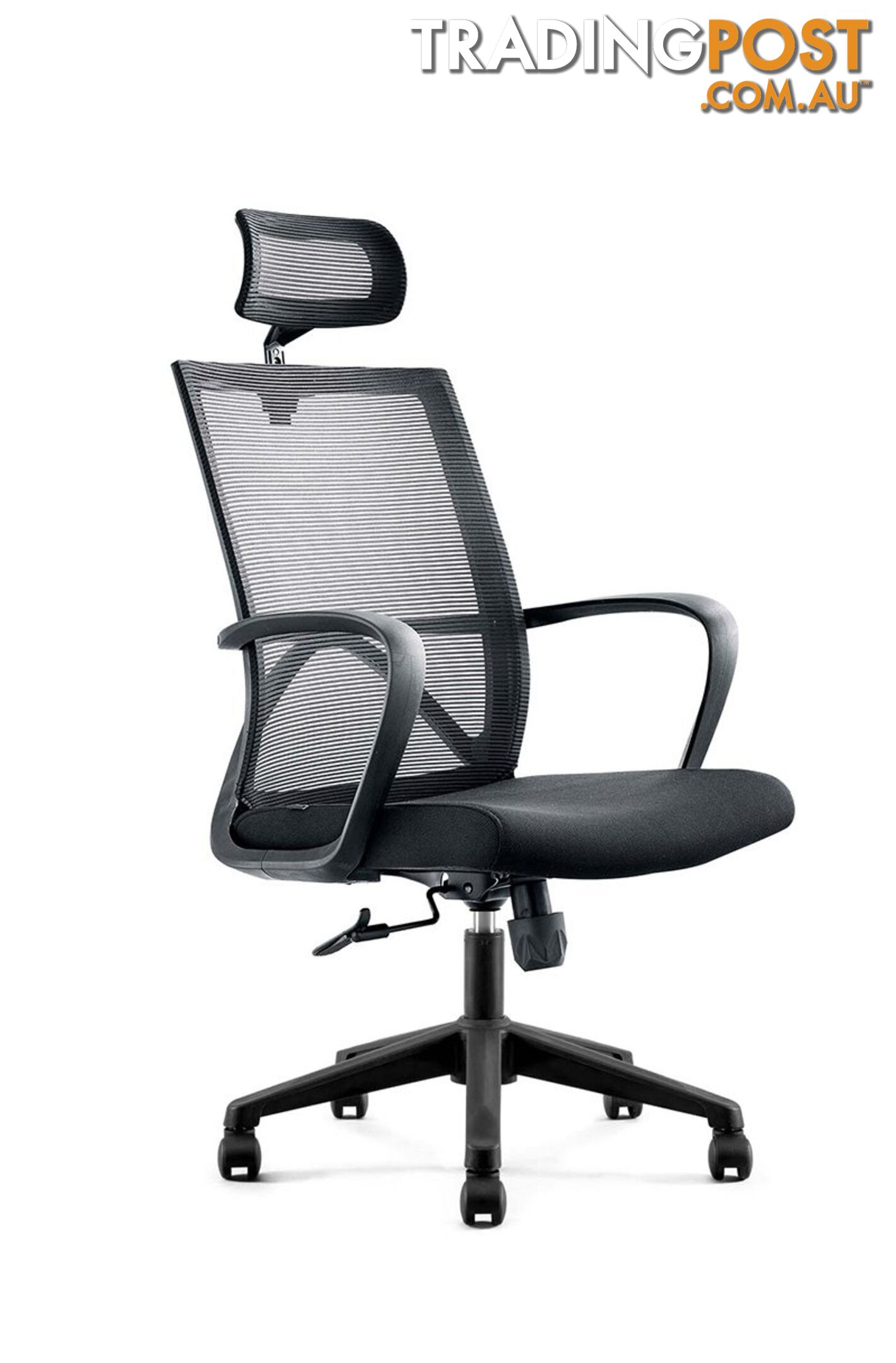 ERIK Executive Office Chair with Headrest- Black - DF-DX6168A - 9334719011103