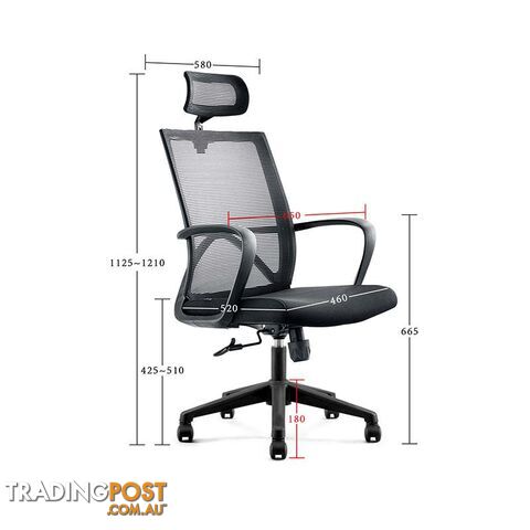 ERIK Executive Office Chair with Headrest- Black - DF-DX6168A - 9334719011103