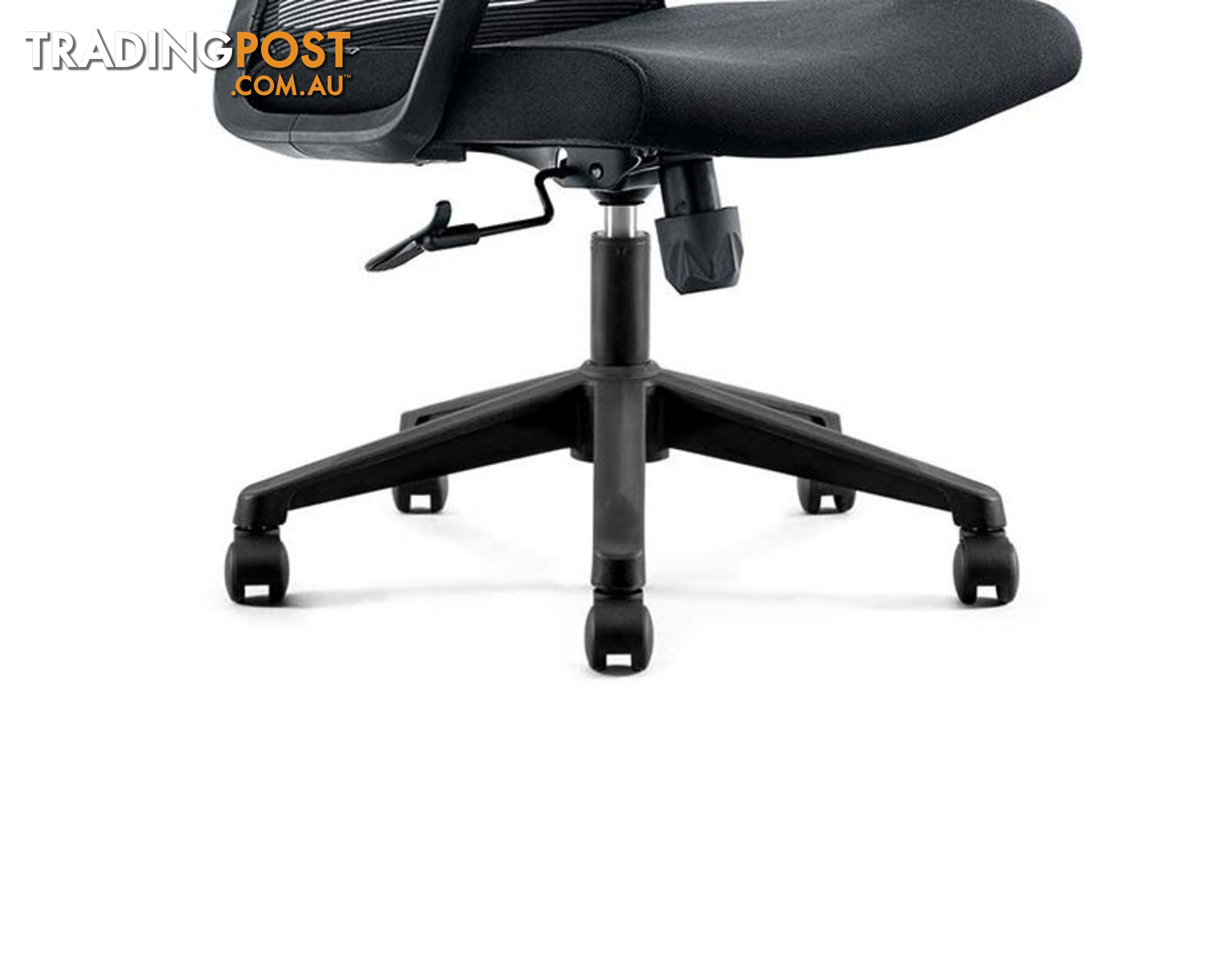 ERIK Executive Office Chair with Headrest- Black - DF-DX6168A - 9334719011103