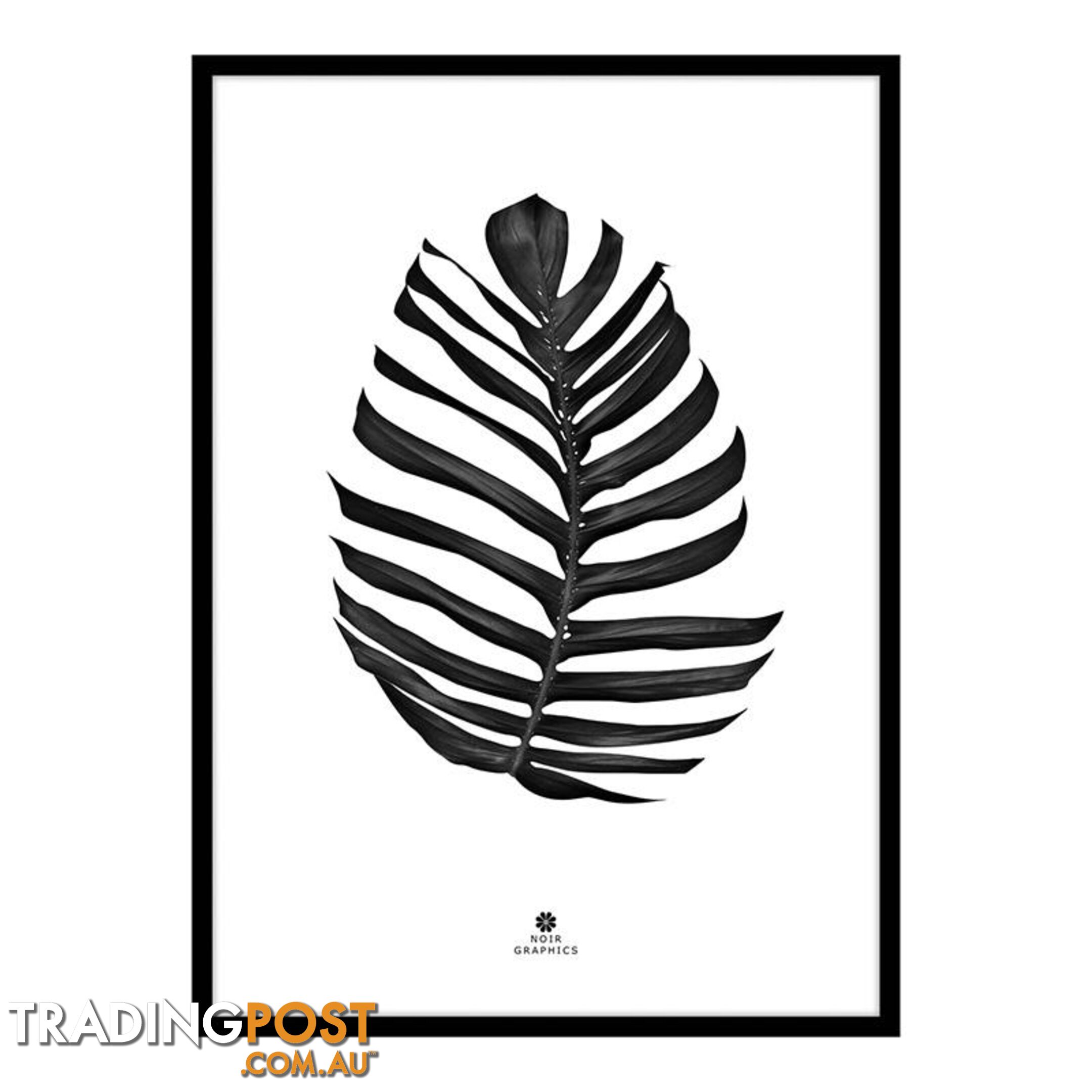 Large Jungle Leaf Print in Black Frame - A202057 - 9334719009667