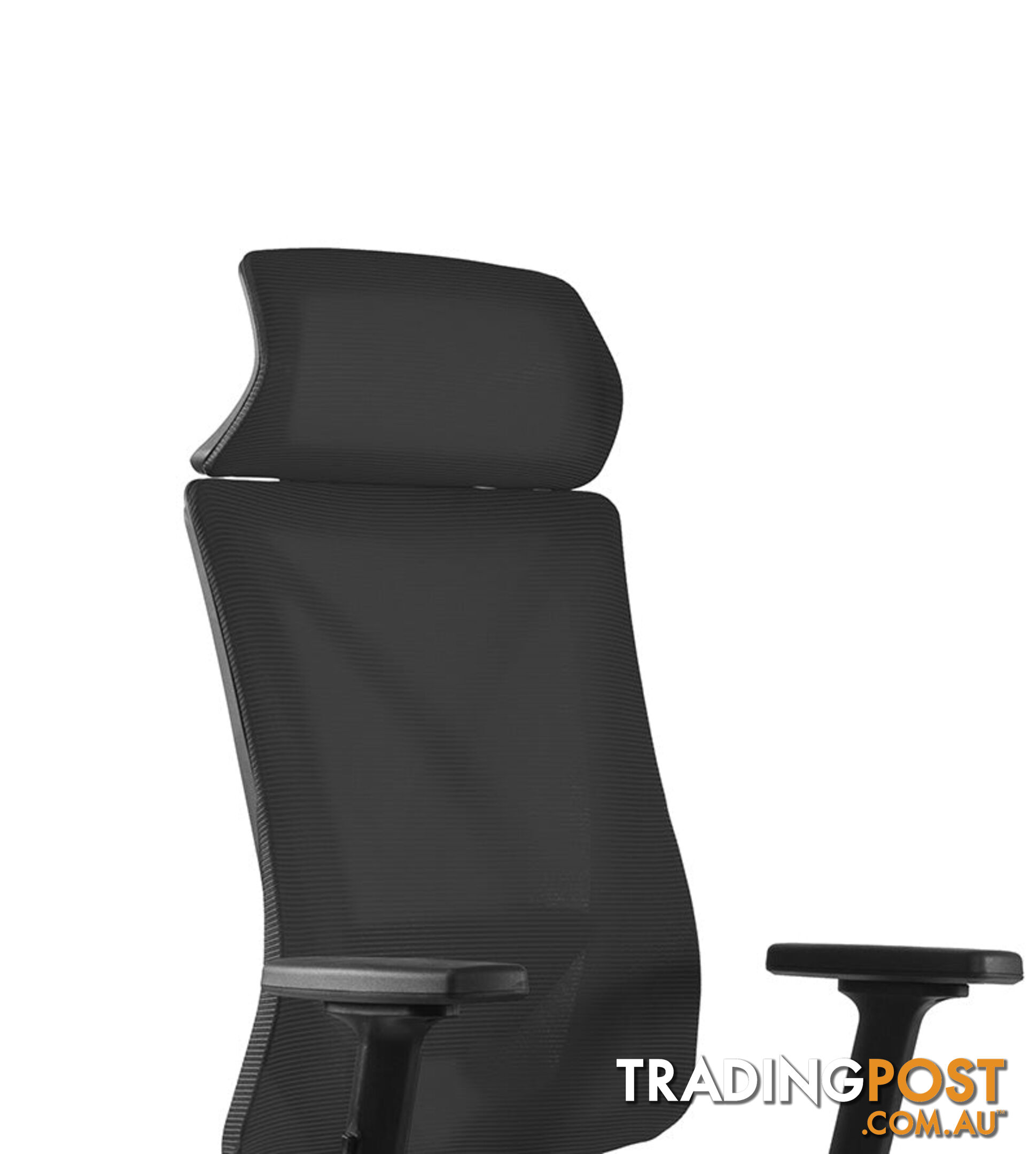 FRODE Executive Office Chair with Headrest - Black - DF-DX6912A - 9334719011110