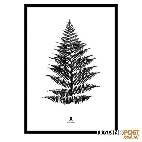 Large Fern Print in Black Frame - A202055 - 9334719009636