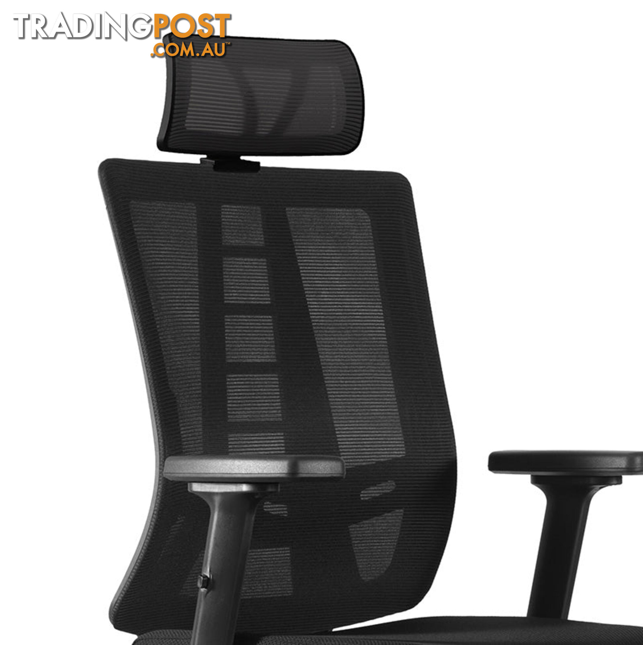 RUNE Executive Office Chair with Headrest - Black - DF-DX6927A - 9334719011141