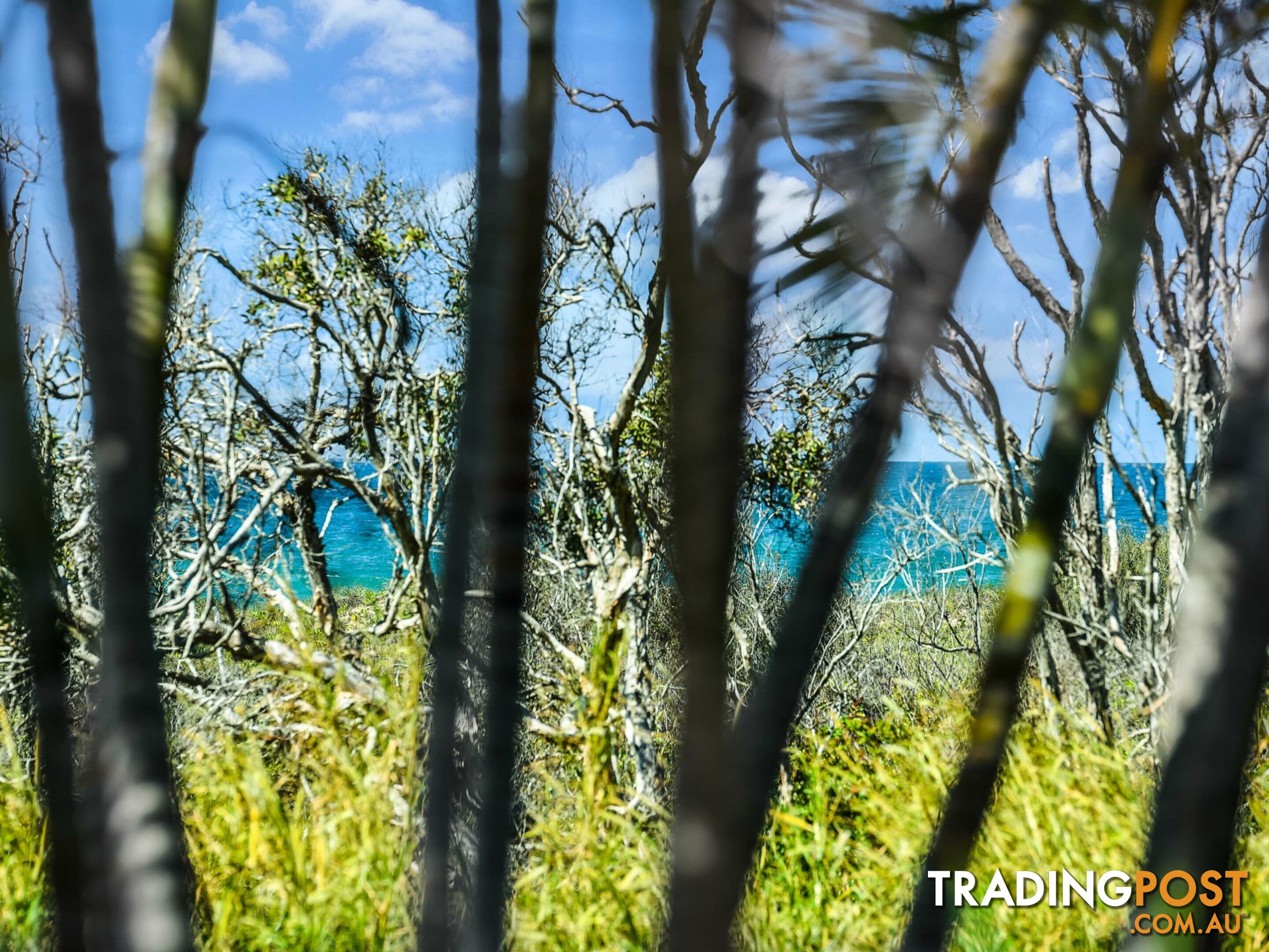 1/44 Peregian Esplanade PEREGIAN BEACH QLD 4573