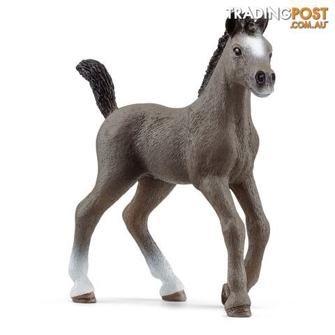 Schleich - Selle Francais Foal Horse Figurine - Mdsc13957 - 0114059433059379