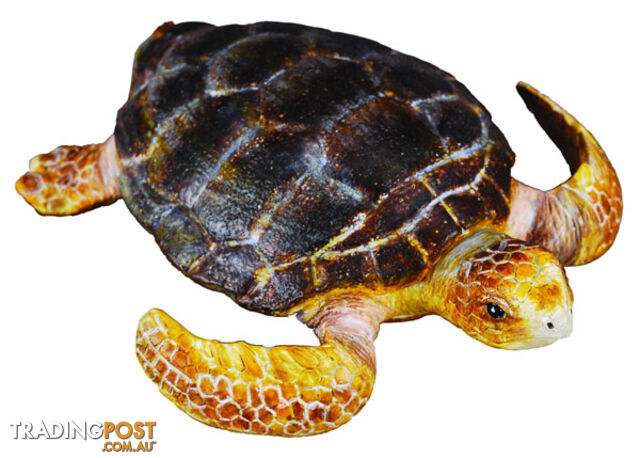 CollectA Loggerhead Turtle Animal Figurine - Rpco88094 - 4892900880945