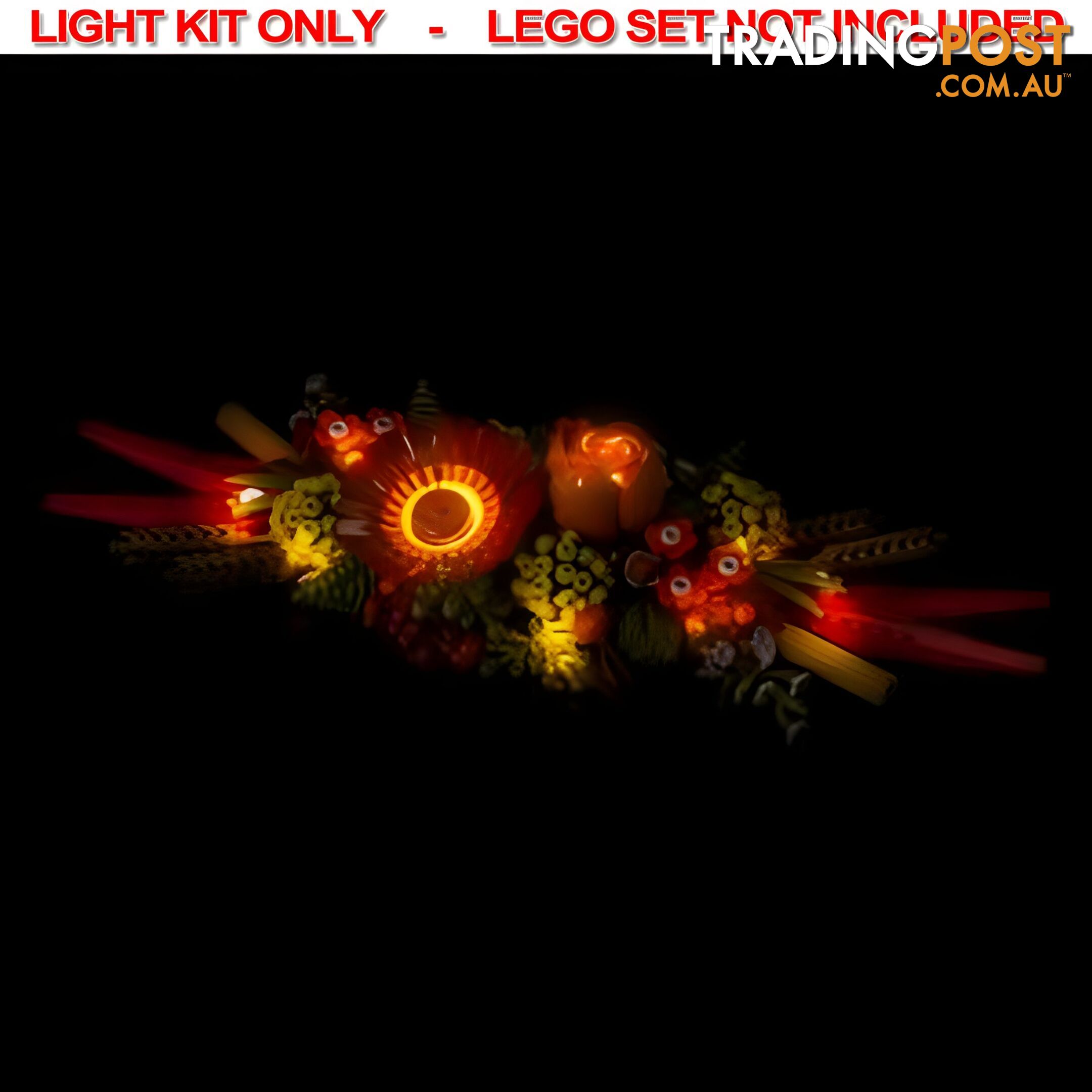 Light Kit For LEGO Dried Flower Centrepiece 10314 - Light My Bricks - Lb75452389387 - 754523893877