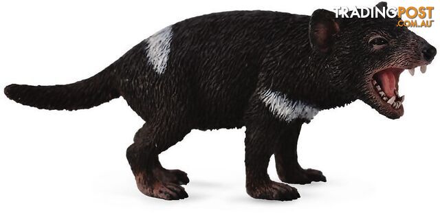 CollectA - Tasmanian Devil Australian Medium Animal Figurine - Rpco88656 - 4892900886565