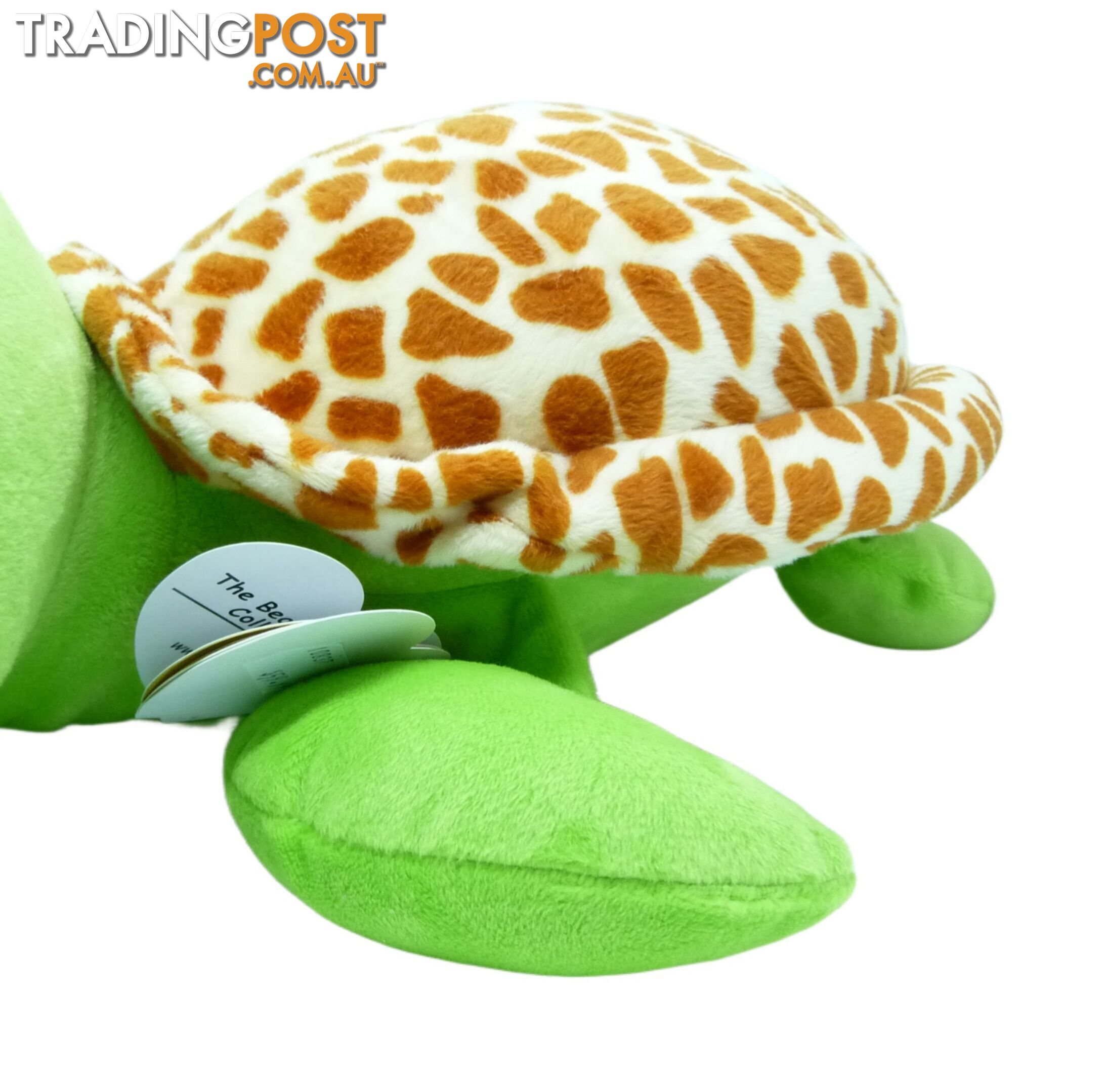 Ty Beanie Boos - Zippy The Turtle Green Large 41cm - Bg36809 - 008421368099