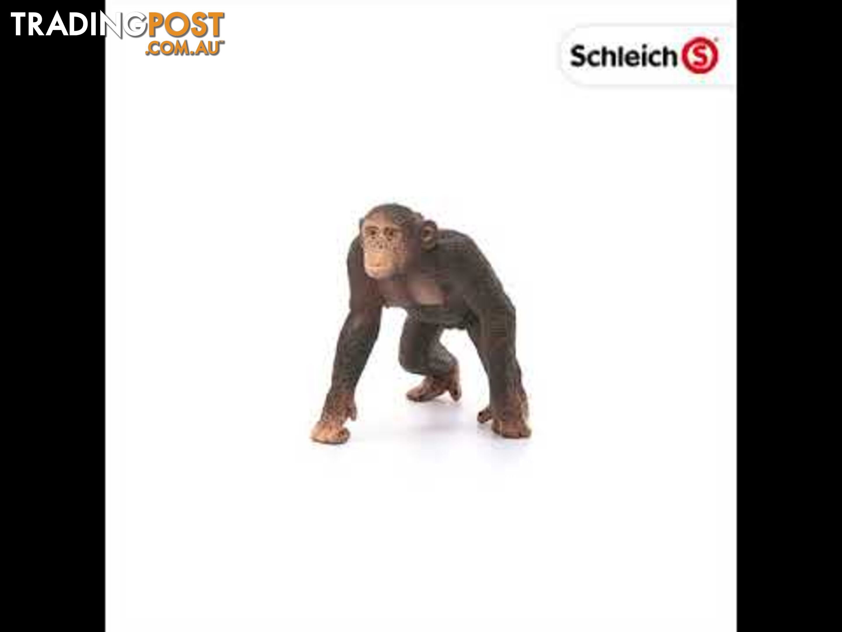 Schleich - Chimpanzee Male Sc14817 - 4055744020858