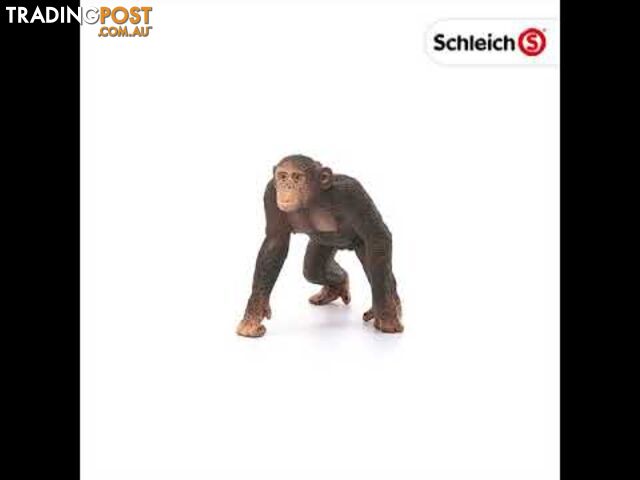 Schleich - Chimpanzee Male Sc14817 - 4055744020858