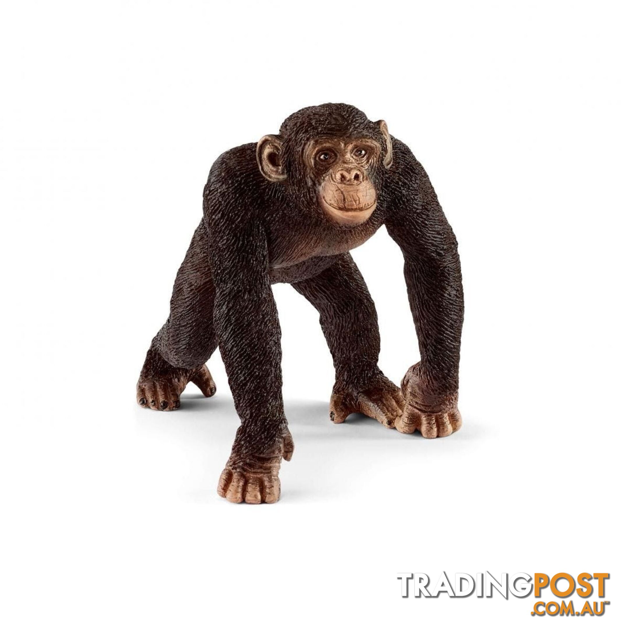 Schleich - Chimpanzee Male Sc14817 - 4055744020858