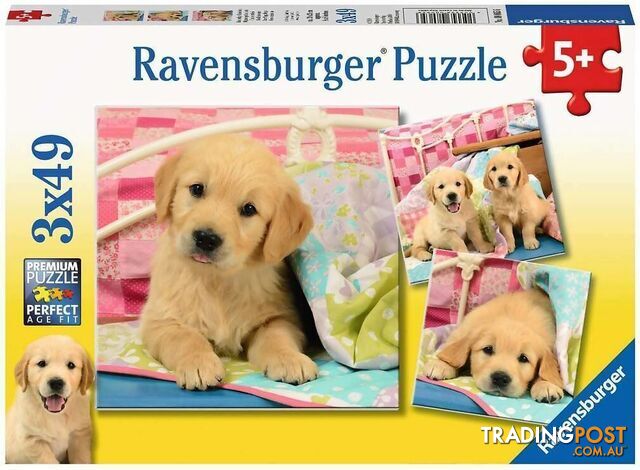 Ravensburger - Cute Puppy Dogs Jigsaw Puzzle 3 X 49pc - Mdrb08065 - 4005556080656