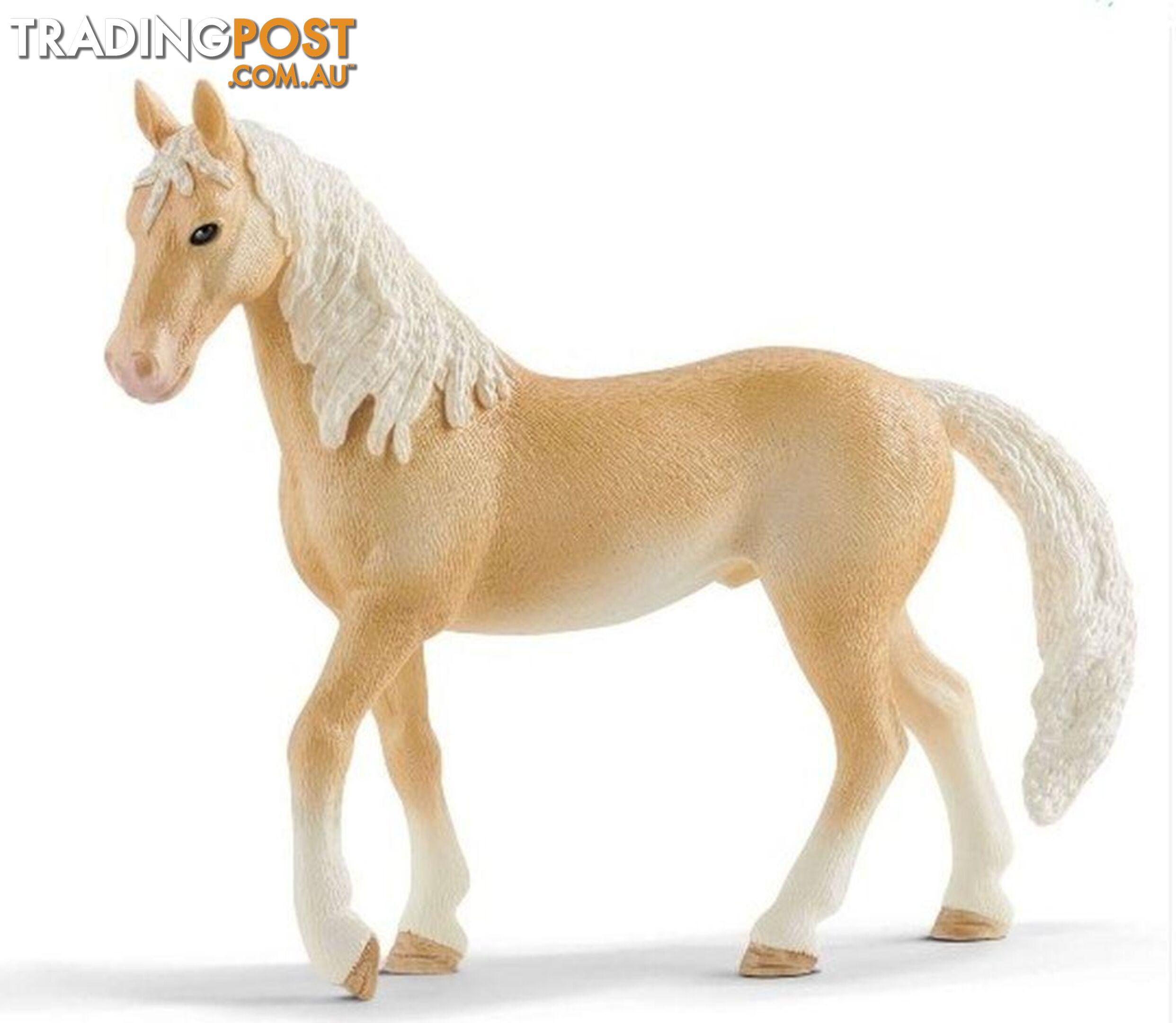 Schleich - Akhal-teke Stallion Sc13911 - 4059433013633