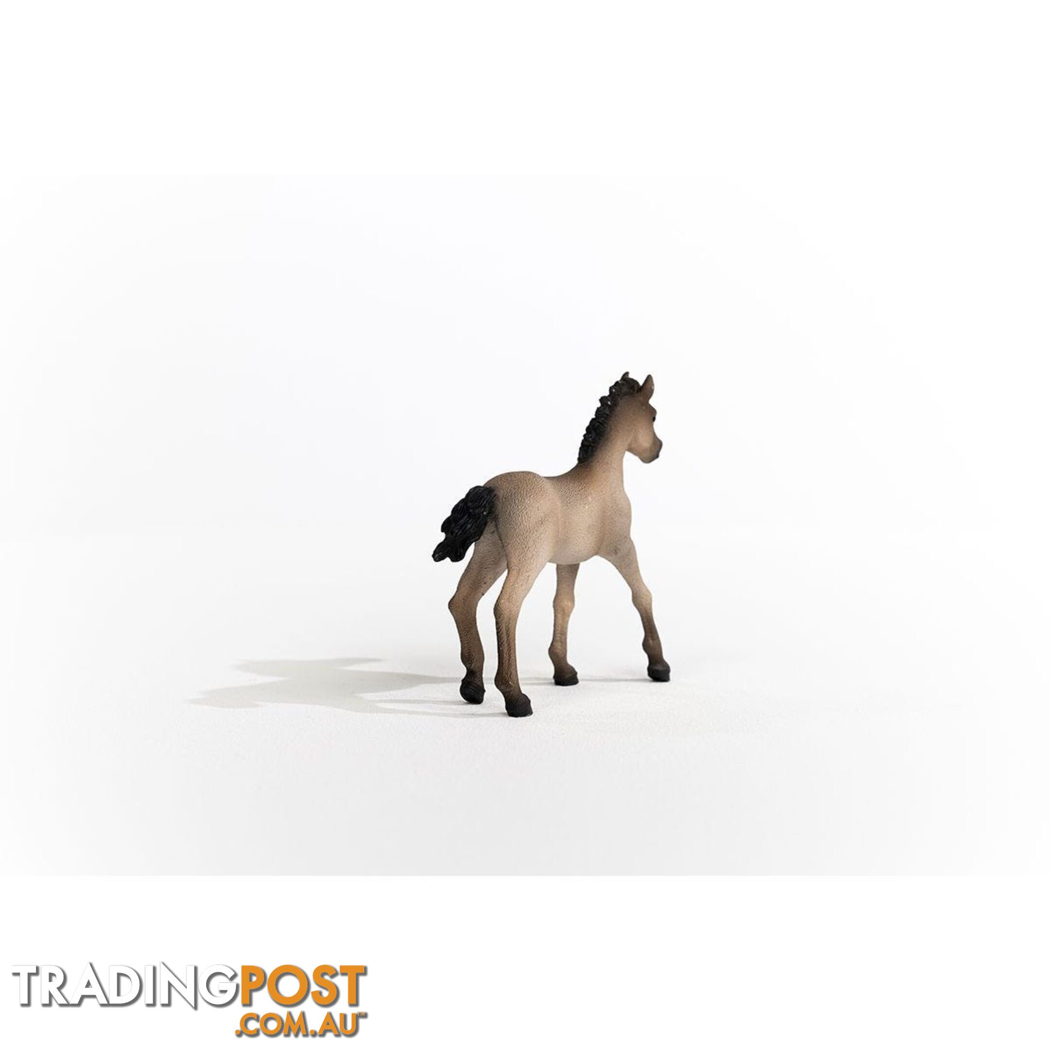 Schleich - Criollo Definitivo Foal Figurine - Mdsc13949 - 4059433486673