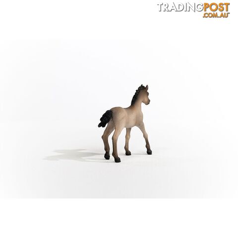 Schleich - Criollo Definitivo Foal Figurine - Mdsc13949 - 4059433486673