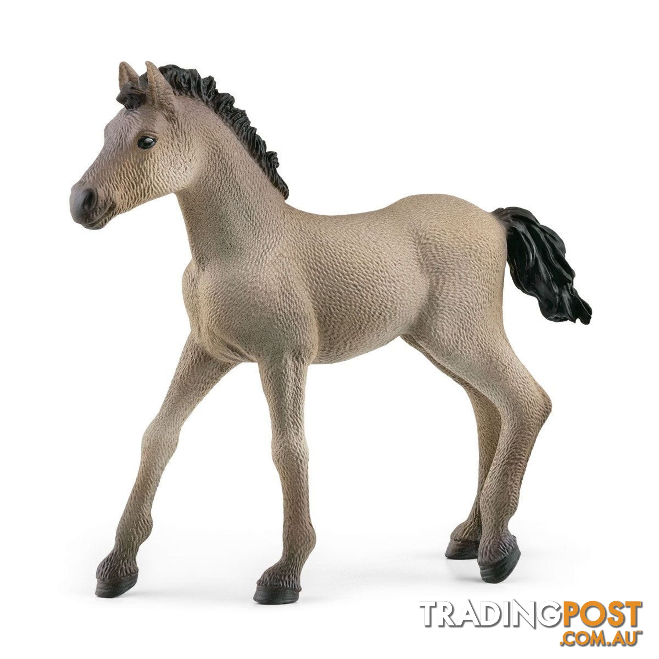 Schleich - Criollo Definitivo Foal Figurine - Mdsc13949 - 4059433486673