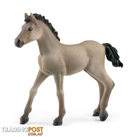 Schleich - Criollo Definitivo Foal Figurine - Mdsc13949 - 4059433486673