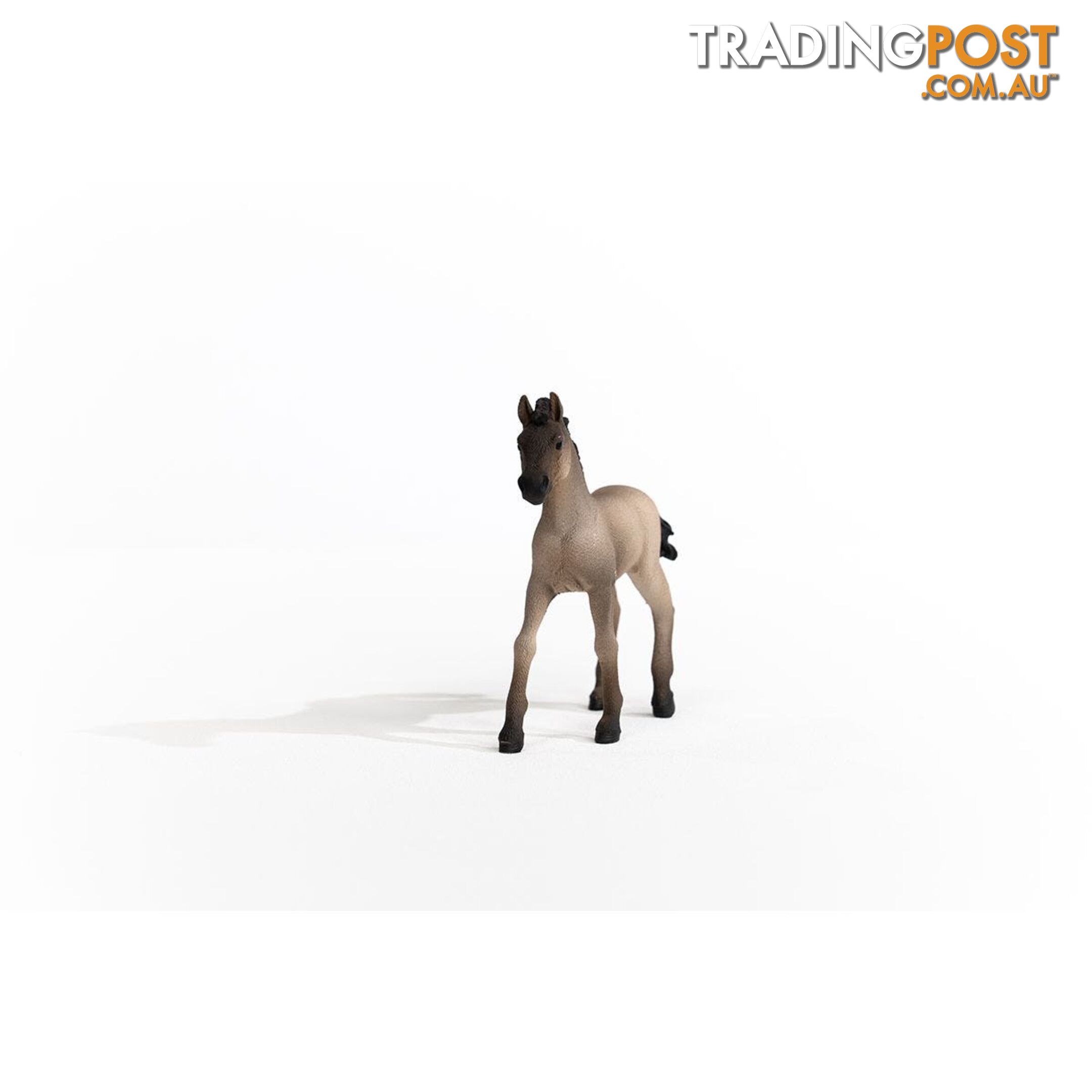 Schleich - Criollo Definitivo Foal Figurine - Mdsc13949 - 4059433486673