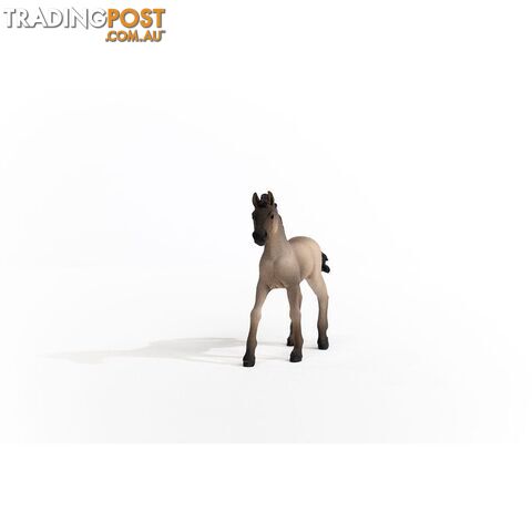 Schleich - Criollo Definitivo Foal Figurine - Mdsc13949 - 4059433486673