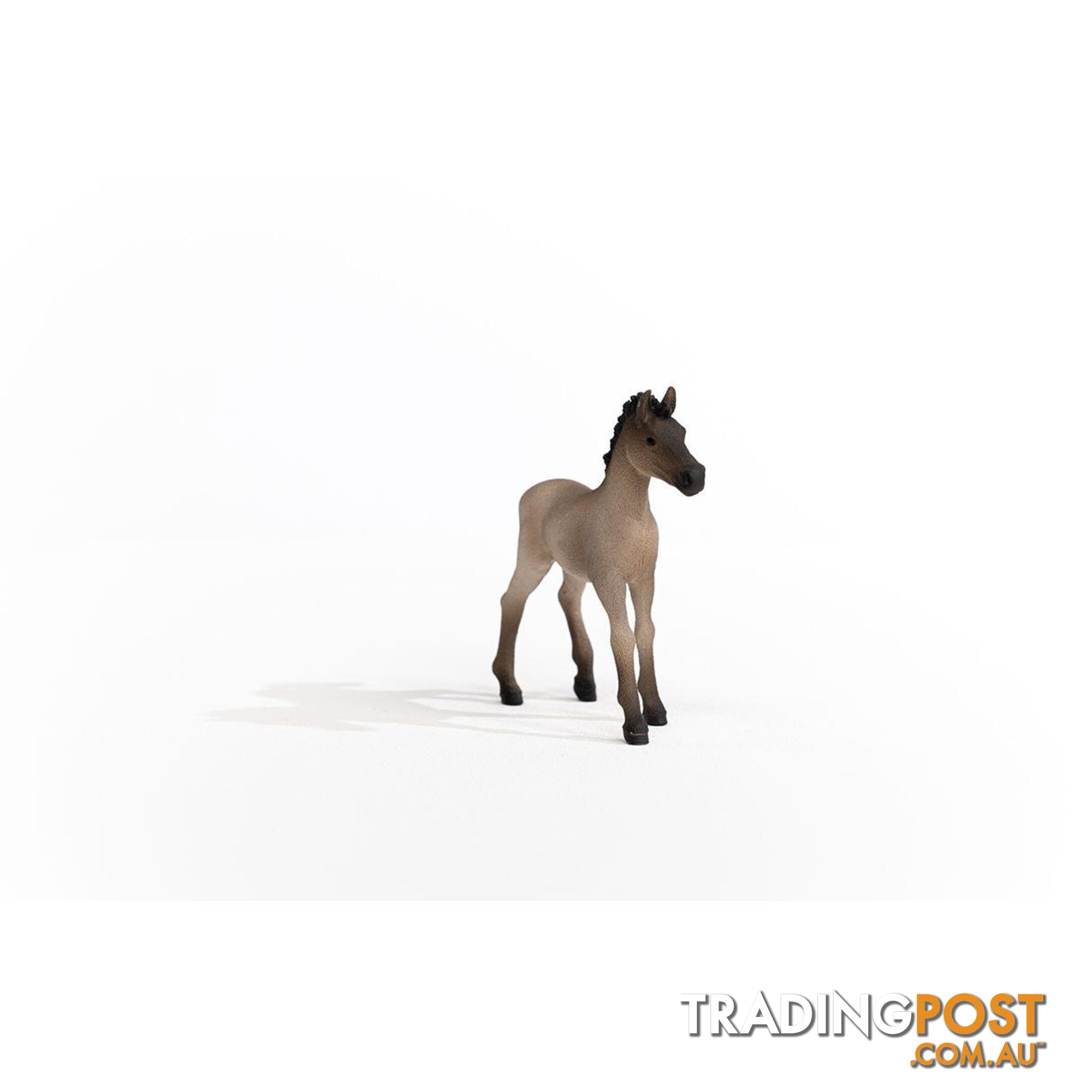 Schleich - Criollo Definitivo Foal Figurine - Mdsc13949 - 4059433486673