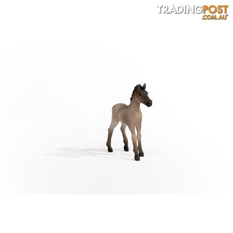 Schleich - Criollo Definitivo Foal Figurine - Mdsc13949 - 4059433486673