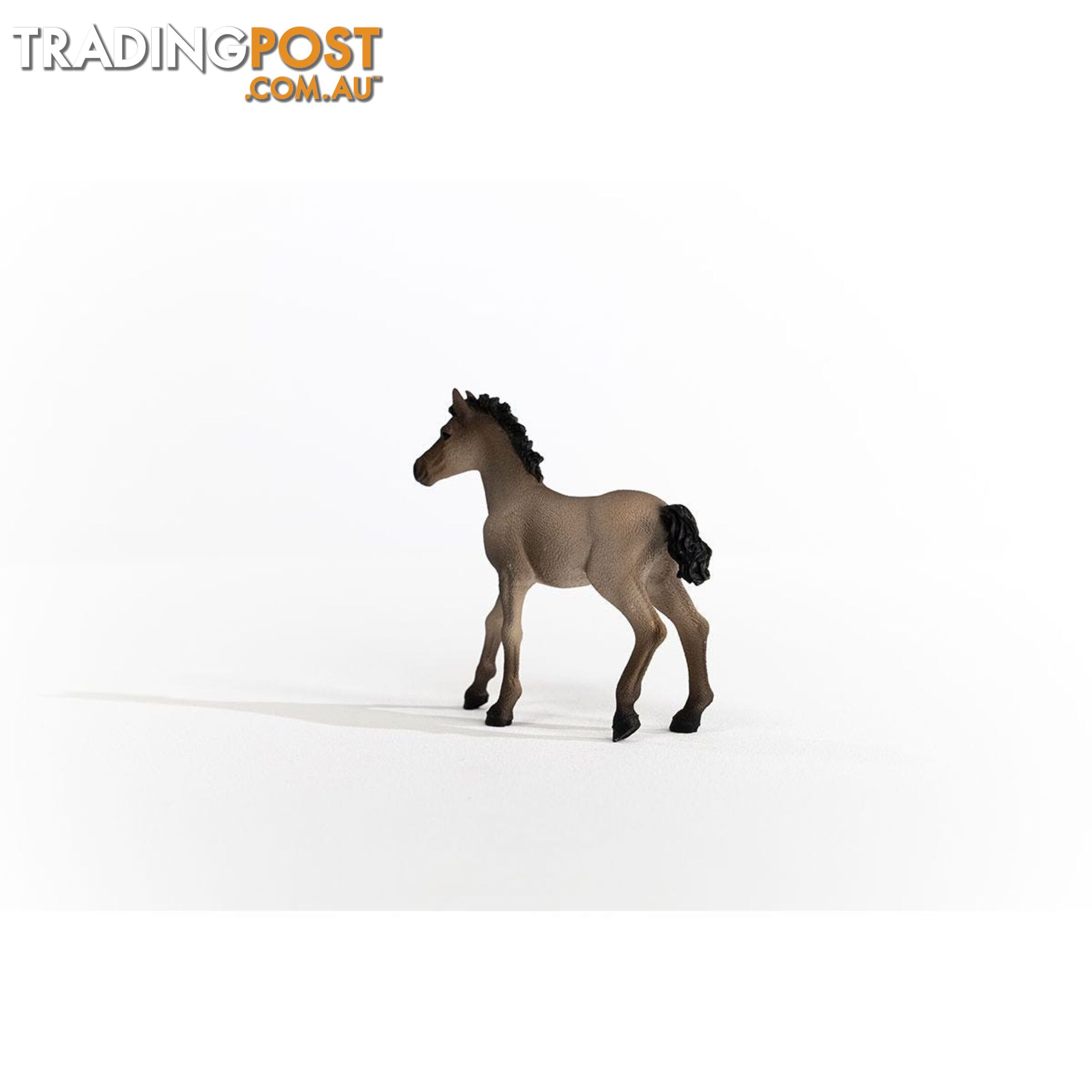 Schleich - Criollo Definitivo Foal Figurine - Mdsc13949 - 4059433486673