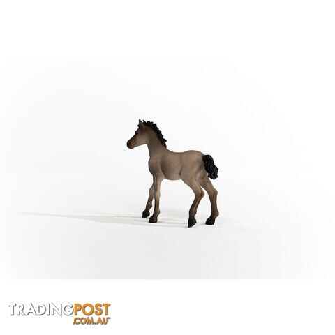 Schleich - Criollo Definitivo Foal Figurine - Mdsc13949 - 4059433486673