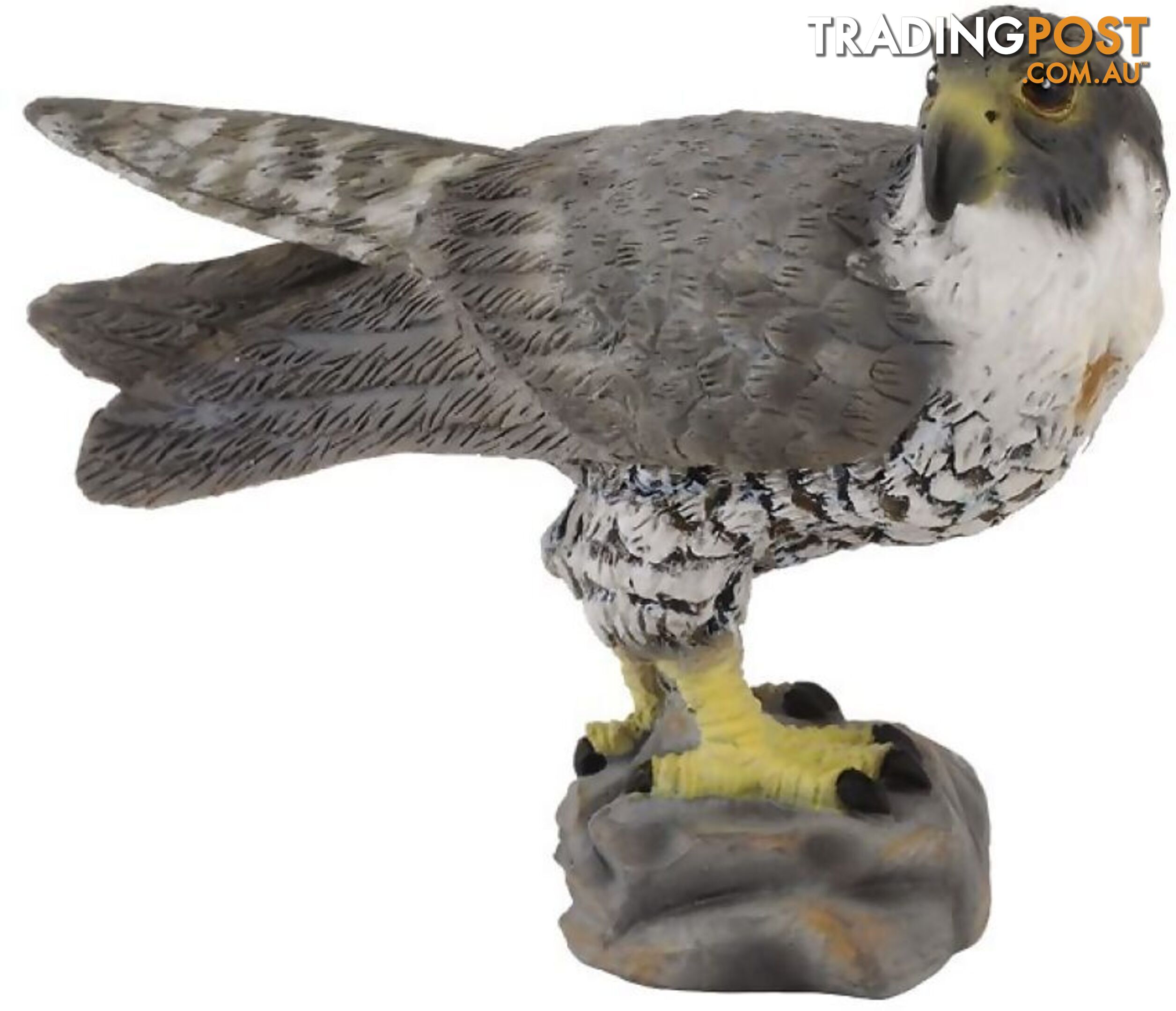 CollectA - Peregrine Falcon Bird Small Figurine - Rpco88399 - 4892900883991